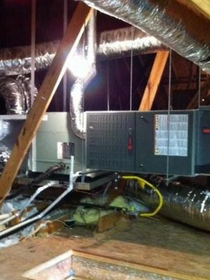 dallas, fort worth,grandpaire,garland,mesquite,irvine,arlington(21)